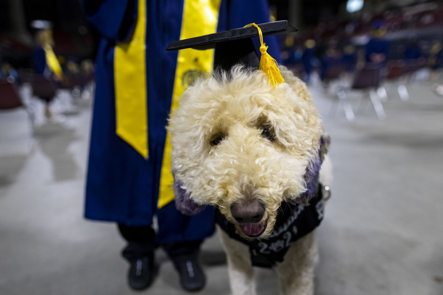 MSU Billings commencement